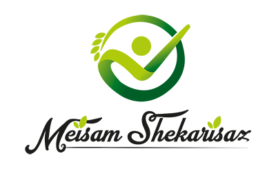 میثم شکری ساز