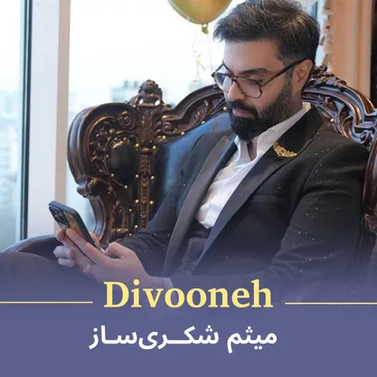 کاور آهنگ دیوونه از میثم شکری‌ساز