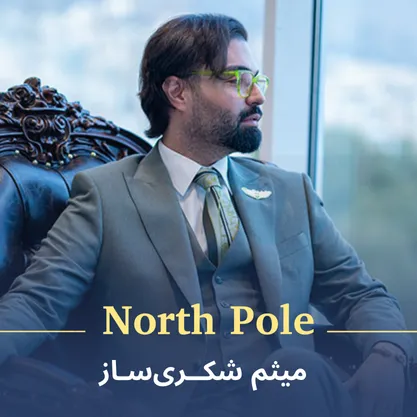 کاور آهنگ قطب شمال از میثم شکری ساز 